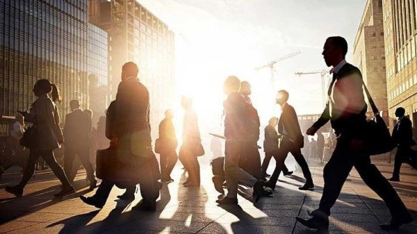 配资炒股平台首选配资 主力资金连续5日净流入71股