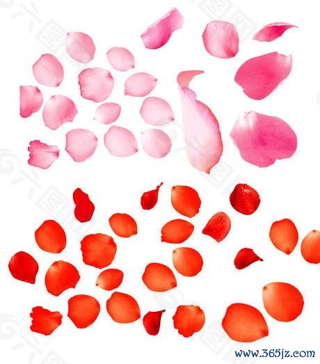 配资正规网上炒股 从小众市场到热度攀升，投资机构热议S基金机遇与挑战