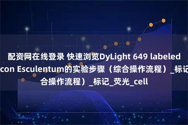 配资网在线登录 快速浏览DyLight 649 labeled Lycopersicon Esculentum的实验步骤（综合操作流程）_标记_荧光_cell
